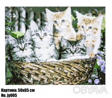 Картина по номерам "Котята" размер 50 х 65 см, код JY005
 
Картины по номерам — . . фото 1