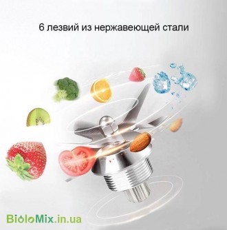 Ремкомплект / ножи для блендера BioloMix. Київ. фото 1 Ремкомплект / ножи для блендера BioloMix. Київ. фото 1