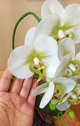 Очень красивая белая орхидея и латекса с различными добавками. Абсолютная имитац. . фото 5