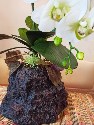 Очень красивая белая орхидея и латекса с различными добавками. Абсолютная имитац. . фото 4
