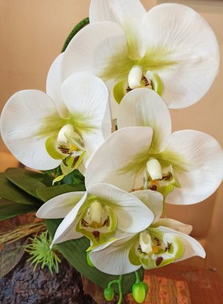 Очень красивая белая орхидея и латекса с различными добавками. Абсолютная имитац. . фото 3