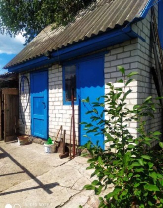 Продажа/ пол дома/ Чередники. Кременчуг. фото 1 Продажа/ пол дома/ Чередники. Кременчуг. фото 1
