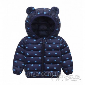 Детская куртка демисезонная Bear. Ткань: верх полиэстер, утеплитель синтепон, по. . фото 1