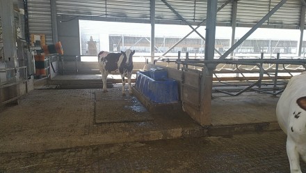 Поилки для коров производства «Металлпласт» изготавливаются из пищев. . фото 11