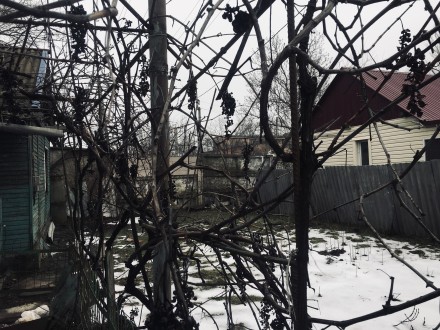 Продам домик в Лесках. Одесса. фото 1 Продам домик в Лесках. Одесса. фото 1