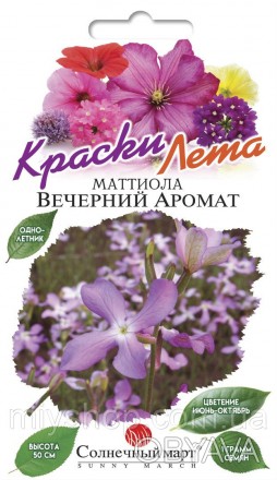 Маттиола Вечерний аромат - изящное растение с нежно-сиреневыми цветками, собранн. . фото 1