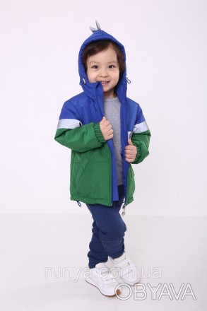 Куртка детская ‘Дино’ для мальчика. Оригинальная куртка для мальчика с отделкой . . фото 1