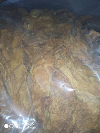 Табак листовой сортовой Берли Вирджиния Дюбек. . фото 2