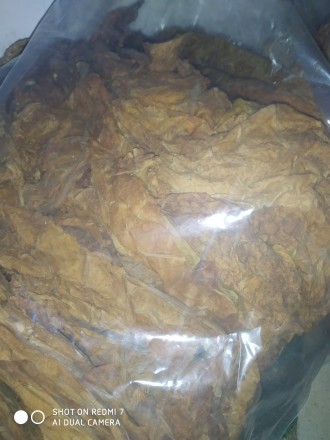 Табак листовой сортовой Берли Вирджиния Дюбек. . фото 3