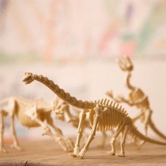 Создайте свой собственный музей динозавров. Вам предстоит попробовать себя в рол. . фото 8