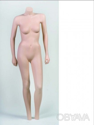 CAN Манекен женский телесный (без головы и ступней с цельным телом) реалистично . . фото 1