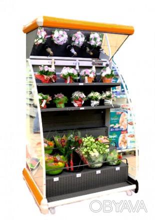 Холодильная витрина MANGO для цветов позволяет сохранить их свежесть и создать э. . фото 1