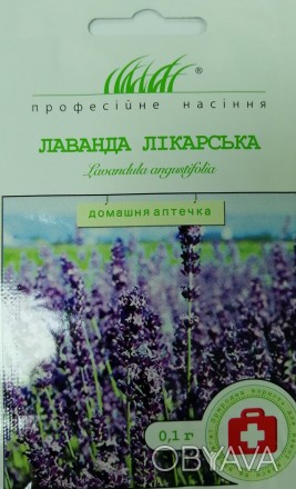 Лаванда - холодостойкий многолетник с приятным ароматом. Препараты на основе лав. . фото 1