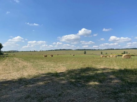 ДУЖЕ ТЕРМІНОВО продам фасадну ділянку 70 соток !!. Києво-Святошинський. фото 1 ДУЖЕ ТЕРМІНОВО продам фасадну ділянку 70 соток !!. Києво-Святошинський. фото 1