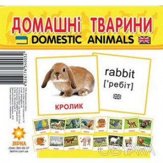 Картки міні Домашні тварини 10*10 Укр Зірка 65945
 
Картонні картки, на кожній з. . фото 1