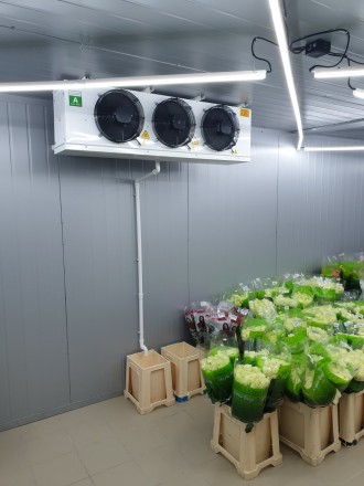 Любая цветочная компания не сможет обойтись без холодильного оборудования для хр. . фото 8