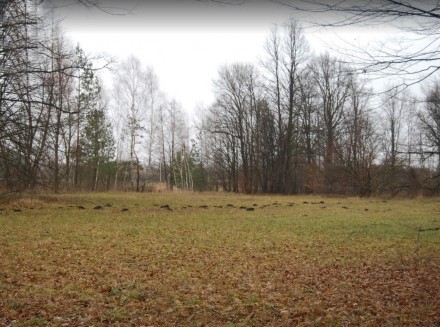 Продам участок Бородянский район пгт.Бабинцы – 17.4 сотки. Бабинці. фото 1