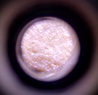 Портативный микроскоп который позволяет увидеть мелкие детали которые тяжело или. . фото 9