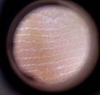 Портативный микроскоп который позволяет увидеть мелкие детали которые тяжело или. . фото 6