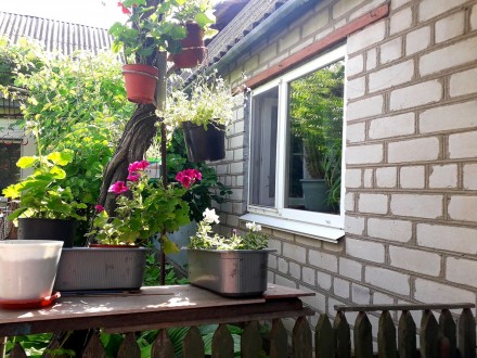 продам дом курортной зоне г.Очаков. Очаків. фото 1 продам дом курортной зоне г.Очаков. Очаків. фото 1