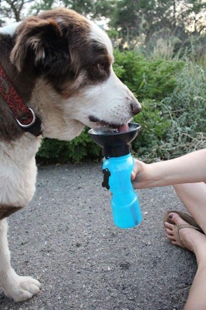 
 Поилка для собак Aqua Dog (Аква Дог)
Походная бутылка изготовлена из пищевой п. . фото 6