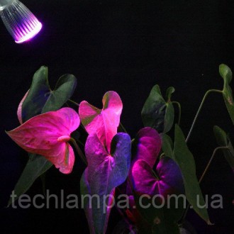 Освещение теплиц
Наше предприятие является поставщиком различных ламп для растен. . фото 6