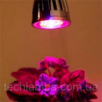 Освещение теплиц
Наше предприятие является поставщиком различных ламп для растен. . фото 8