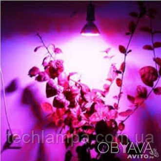 Светодиодная лампа для растений
 . . фото 1