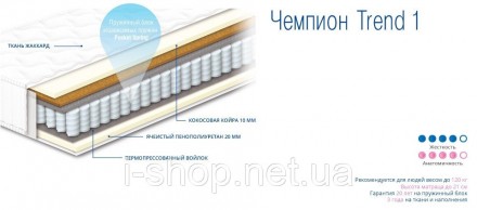 ЧЕМПИОН TREND 1 - ортопедический матрас ТМ СОНЛАЙН (Украина) 150*190. Васильков. фото 1 ЧЕМПИОН TREND 1 - ортопедический матрас ТМ СОНЛАЙН (Украина) 150*190. Васильков. фото 1