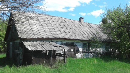 Продается земельный участок в с. Садки Житомирского района.
10 км до Житомира.
. . фото 5