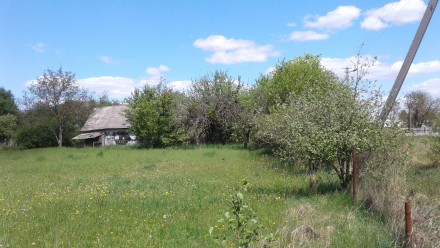 Продается земельный участок в с. Садки Житомирского района.
10 км до Житомира.
. . фото 4