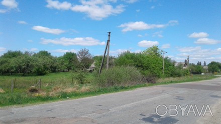 Продается земельный участок в с. Садки Житомирского района.
10 км до Житомира.
. . фото 1