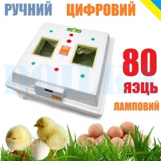 Инкубатор Квочка МИ-30-1 (ручной , 80 яиц, цифровой регулятор, ламповый). Киев. фото 1 Инкубатор Квочка МИ-30-1 (ручной , 80 яиц, цифровой регулятор, ламповый). Киев. фото 1