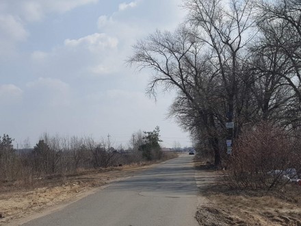с.Хотяновка,массив Баштан,г.Киев 12 км,дорога налево между с.Осещина и с.Хотянов. . фото 4