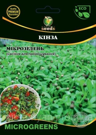 Семена Микрозелень Кинза, Микрогрин 20г. WoS. Тернополь. фото 1 Семена Микрозелень Кинза, Микрогрин 20г. WoS. Тернополь. фото 1