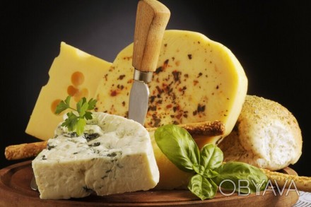 Куплю по всей Украине любой сыр или сырный продукт с вышедшими сроками (просрочк. . фото 1