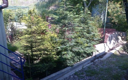 Продам свою уютную 2эт. дом дачу у моря - Одесса Крыжановка Причал 218. Поселок Котовского. фото 7 Продам свою уютную 2эт. дом дачу расположена - Одесса, Крыжановка, Причал 218, н. Поселок Котовского. фото 7