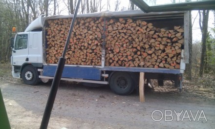 Дрова колотые дуб Бровары киевская область , доставка осуществляться от 6 куб.м . . фото 1