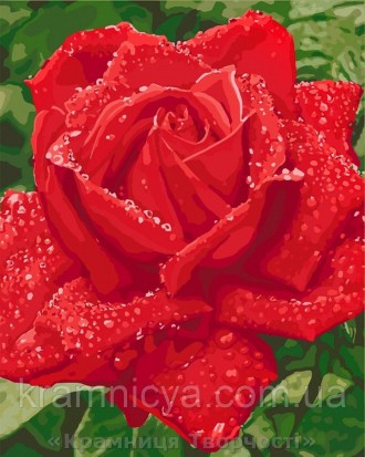 Картина по номерам 40x50 Нежность розы (КНО3045)
 
Вы часто задаете стандартный . . фото 2