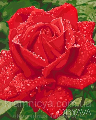 Картина по номерам 40x50 Нежность розы (КНО3045)
 
Вы часто задаете стандартный . . фото 1