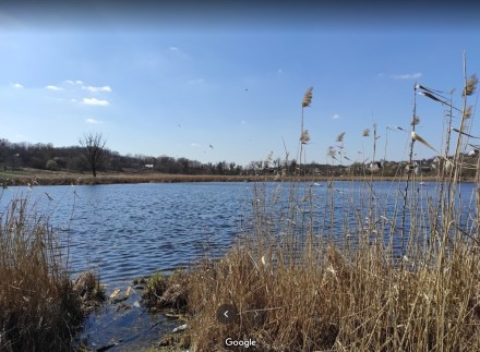 Продам участок Обуховский район, с.Креничи(Ходосовка) – 7 га. Креничі. фото 1 Продам участок Обуховский район, с.Креничи(Ходосовка) – 7 га. Креничі. фото 1
