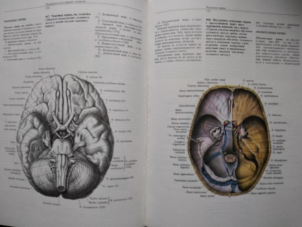 4 том Атлас анатомии человека Синельникова о нервной системе и органах чувств
Со. . фото 4