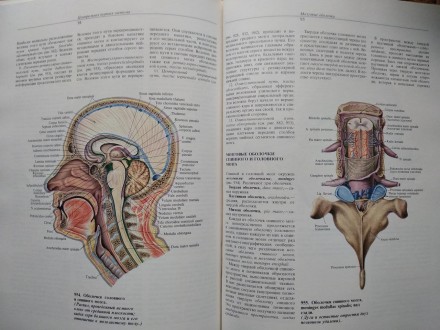 4 том Атлас анатомии человека Синельникова о нервной системе и органах чувств
Со. . фото 6