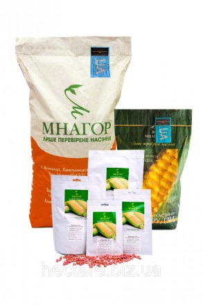 Сахарная кукуруза Мраморная F1, Sh2, биколор 200 семян на 30 м²
Суперсладких гиб. . фото 5