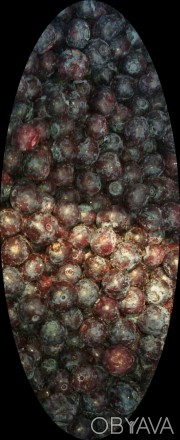Голубика очищенная сухой заморозки
Лохина чиста заморожена
Ассортимент ягод в . . фото 1