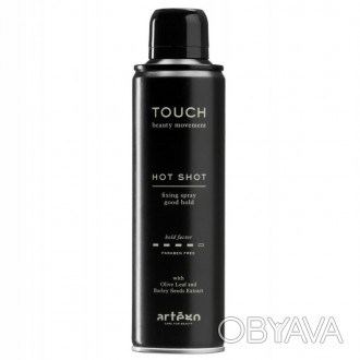 Лак для волос средне-сильной фиксации Touch Hot Shot
Обеспечивает высокоточную ф. . фото 1