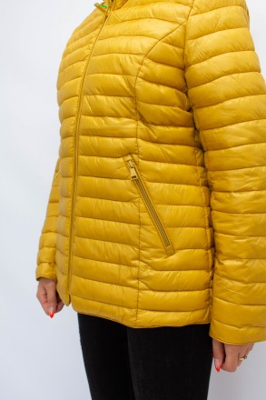 
Оригинальная укороченная демисезонная куртка от Money&you большие размеры. Курт. . фото 7