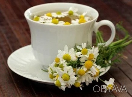 Аптечна Ромашка лікарська.