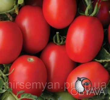 Продуктивный томат детерминантного типа с среднеранним сроком созревания, идеаль. . фото 1