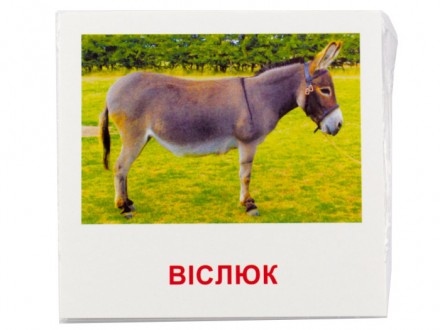 Картки, на кожній з карток зображені різні тварини і їх назви.. . фото 3